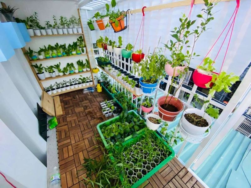  Thiết kế ban công làm vườn rau mini cho gia đình