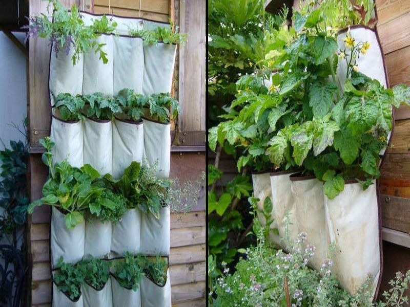 Mẫu thiết kế ban công bằng mô hình túi vải để trồng rau  