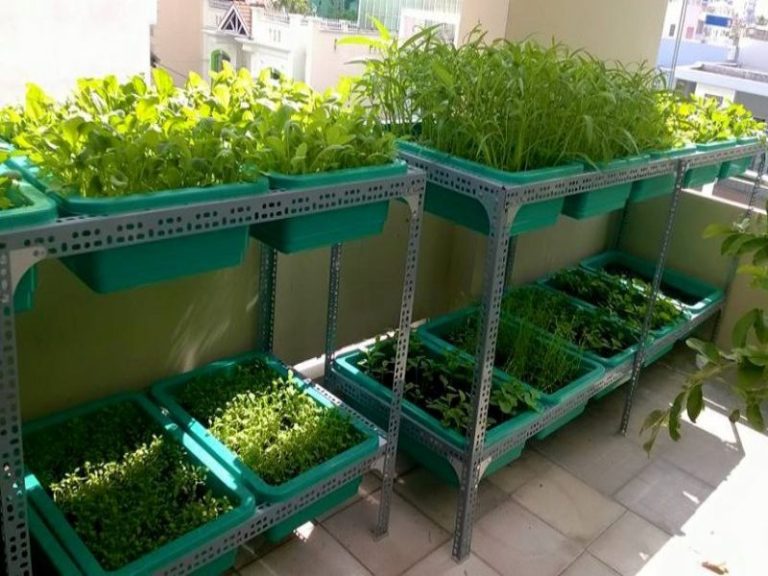 Mẫu thiết kế ban công chung cư trồng rau đẹp nhất 2023