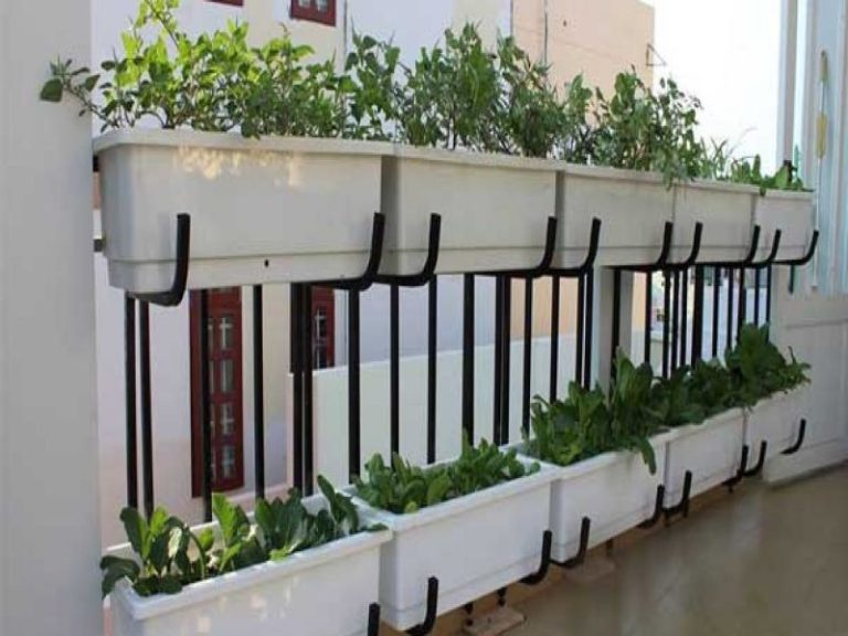 Mẫu thiết kế ban công chung cư trồng rau đẹp nhất 2023